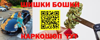 молекула духа Будённовск