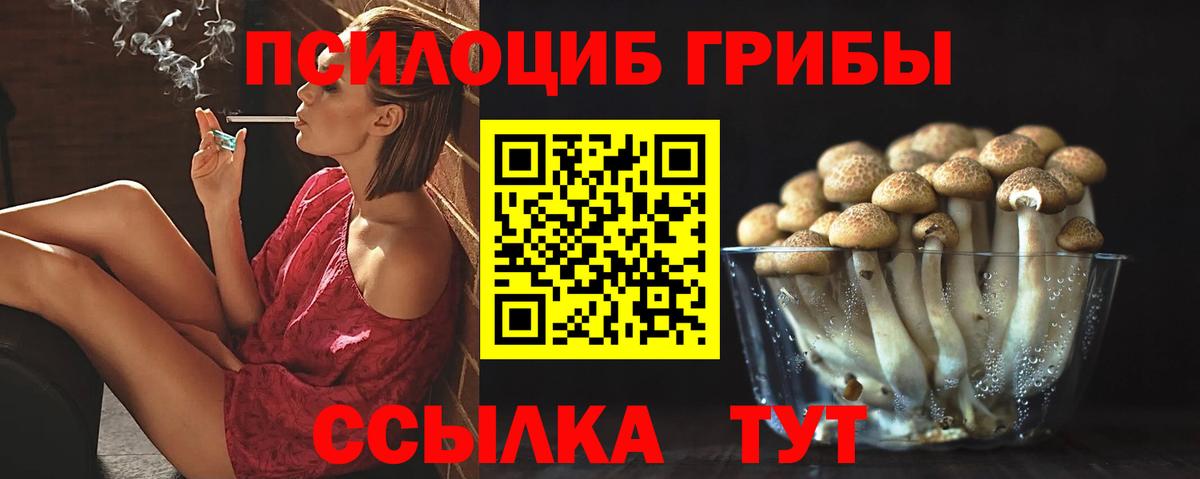 Псков  Псилоцибиновые грибы GOLDEN TEACHER  Вход с VPN 