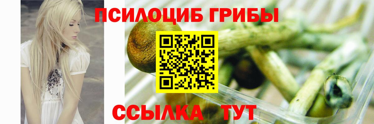 Галлюциногенные грибы MAGIC MUSHROOMS Псков